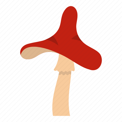 Autumn, boletus, cooking, eat, food, forest, toxic mushroom icon - Download on Iconfinder