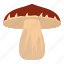 autumn, biology, bolete, brown, cap, cooking, forest mushroom 