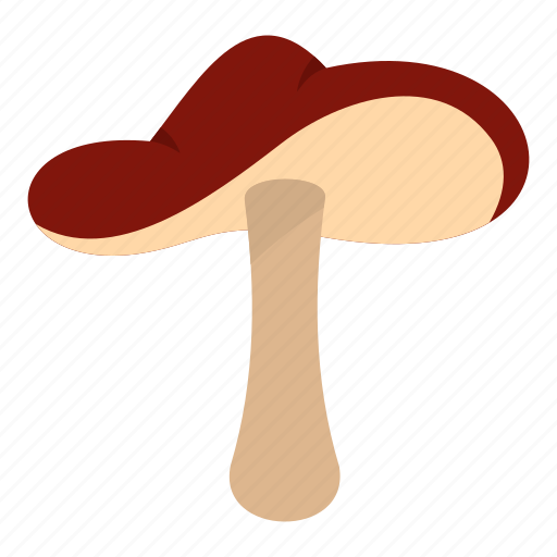 Agaric, amanita, autumn, autumn mushroom, cap, forest, fresh icon - Download on Iconfinder
