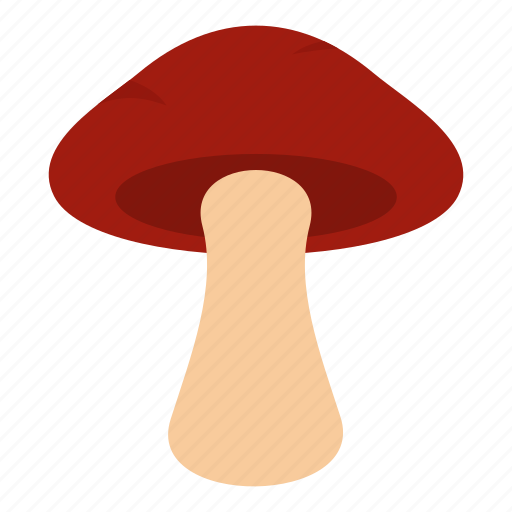 Autumn, biology, bolete, brown, cap, cooking, tubular mushroom icon - Download on Iconfinder