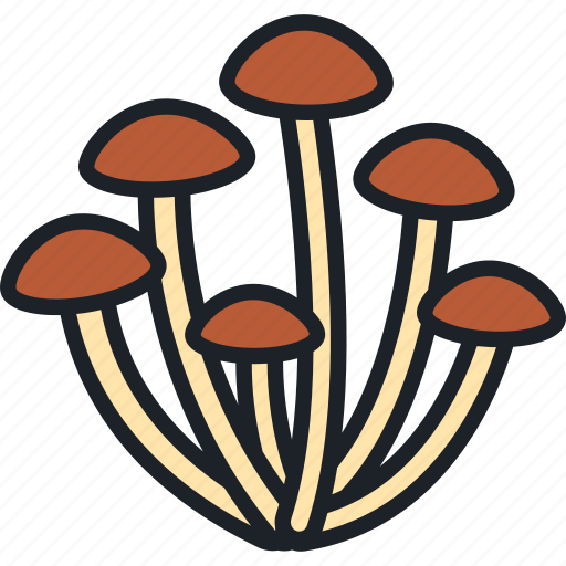 Agaric, mushroom, mushrooms, edible mushroom, forest icon - Download on Iconfinder