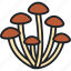 agaric, mushroom, mushrooms, edible mushroom, forest 
