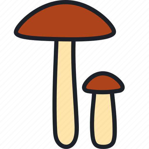 Mushroom, mushrooms, birch bolete, food, forest, boletus, edible mushroom icon - Download on Iconfinder