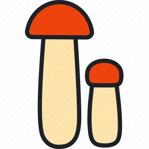 Boletus, mushroom, orange-cap, food, fungus, mushrooms, edible mushroom icon - Download on Iconfinder