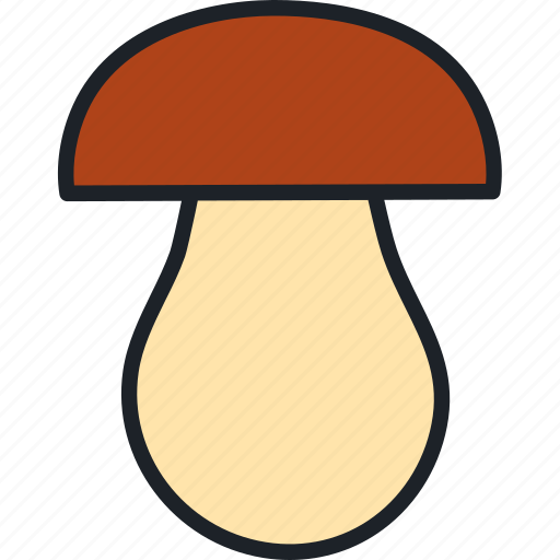 Porcini, mushroom, food, cep, boletus, edible mushroom icon - Download on Iconfinder