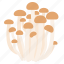 shimeji, mushroom, mushrooms, velvet, pioppini, honshimeji, food 