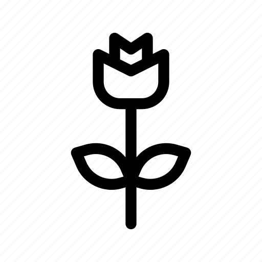 Flower, nature, rose, spring icon - Download on Iconfinder