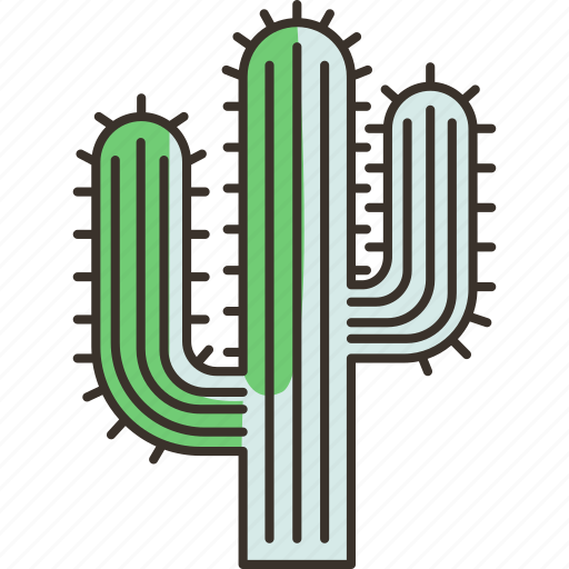 Cactus, desert, plant, nature, succulent icon - Download on Iconfinder