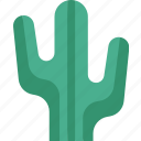 cactus, desert, plant, hot, endurance