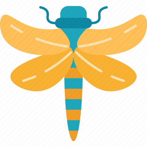Dragonfly, swiftness, indian, traditions, nature icon - Download on Iconfinder