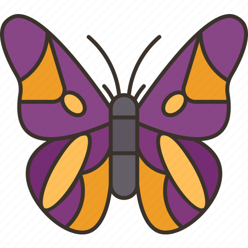 Butterfly, native, american, culture, transformation icon - Download on Iconfinder