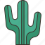 cactus, desert, plant, hot, endurance 
