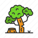 deforestation, green energy, log, trunk, wood, cutting, forest, ecological