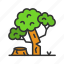deforestation, green energy, log, trunk, wood, cutting, forest, ecological 