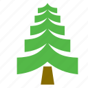 christmas, fir, forest, nature, tree, woods