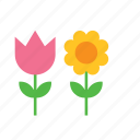 flower, natural, nature, rose, sunflower