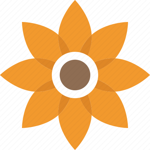 Blossom, daisy, floral, nature, spruce flower icon - Download on Iconfinder