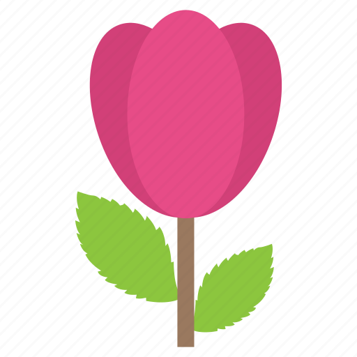 Flower, lily bud, lotus, nature blooming, spring season icon - Download on Iconfinder
