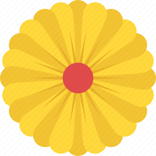 Aster, flower, nature beauty, seasonal flower, spring blossom icon - Download on Iconfinder