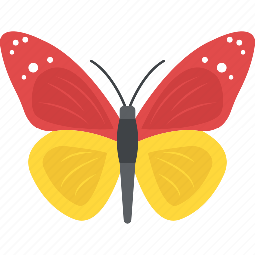 Butterfly, garden insects, insect, moth, spring season icon - Download on Iconfinder