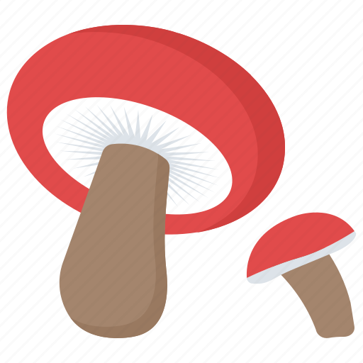 Fungus, mushroom, organic food, oyster, toadstool icon - Download on Iconfinder