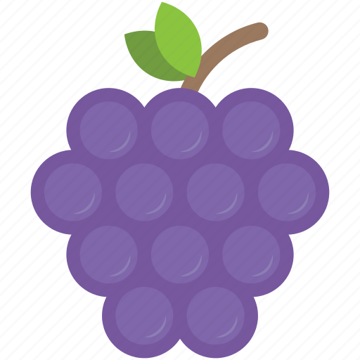 Food, fruit, grapes, grapes bunch, healthy diet icon - Download on Iconfinder