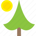 christmas tree, cones, fir tree, natural beauty, summer season 