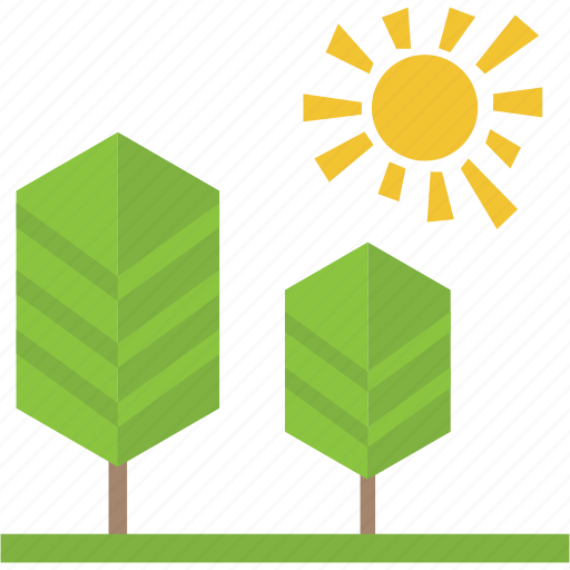 Green forest, natural landscape, scenery, summer season, trees and sun icon - Download on Iconfinder