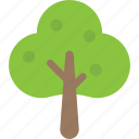 fruit tree, generic tree, spreading tree, sugarberry, woodland 