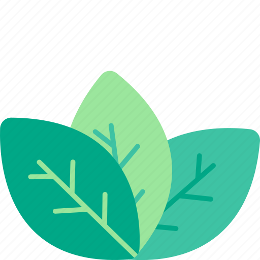 Nature, leaf, ecology, plant icon - Download on Iconfinder