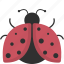 ladybug, insect, nature, ecology 