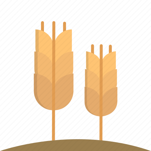 Corn, vegetable, healthy, food icon - Download on Iconfinder