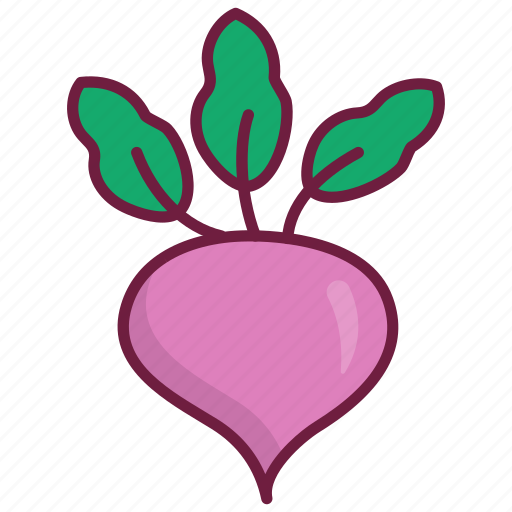 Nature, food, healthy, turnip, fresh icon - Download on Iconfinder