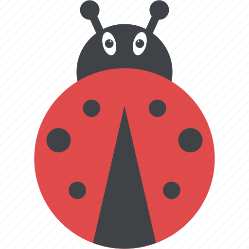 Beetle, bug, insect, ladybird, ladybug icon - Download on Iconfinder