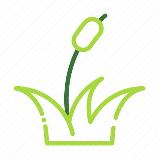 Eco, ecology, nature, organic, plant icon - Download on Iconfinder