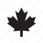 canada, canadian, leaf, maple, nature 