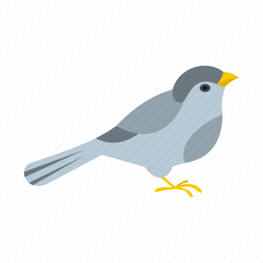 Bird, birdie, cheerful, cute, fauna, nestling, wing icon - Download on Iconfinder