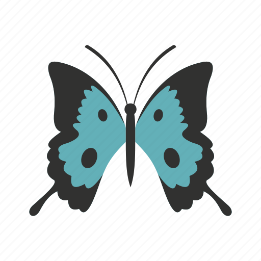 Beautiful, beauty, butterfly, decorative, fly, natural, spring icon - Download on Iconfinder