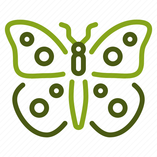Butterfly, spring, wings, bug, fly, beautiful, animal icon - Download on Iconfinder