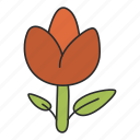 sprout, ecology, flower, floweret, blossom