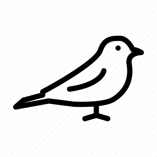 Bird, dove, fly, nature, sparrow icon - Download on Iconfinder