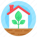 greenhouse, glasshouse, conservatory, nursery, plant house 