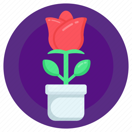 Rose plant, potted plant, potted rose, floral, potted flower icon - Download on Iconfinder