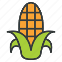 corn, cob, crop, maize