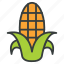corn, cob, crop, maize 