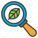 search, leaf, glass, ecology, find, magnifying