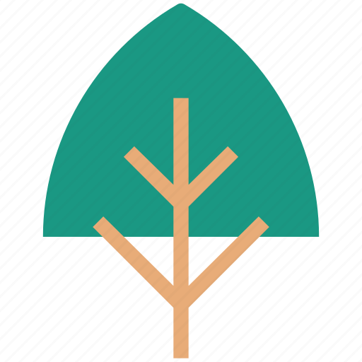 Ecology, environment, evergreen, nature, tree icon - Download on Iconfinder