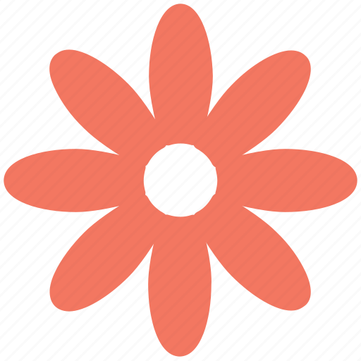 Bloom, daisy, decoration, eco leaf, flower, petals, plant icon - Download on Iconfinder