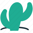 cactaceae, cactus, cactus plant, cactus tree, caryophyllales, generic tree