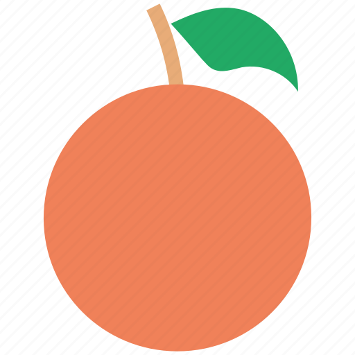 Fresh fruit, fruit, orange, orange fruit icon - Download on Iconfinder